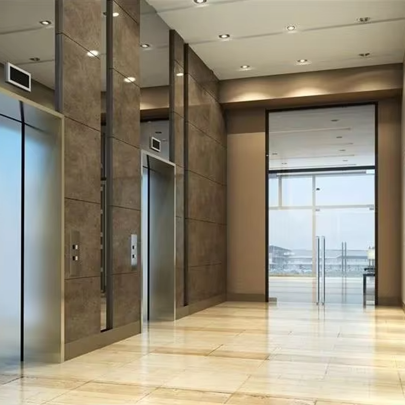 VTEP105 Ascensores Luxury Residential Passager Elevatorer Gearless AC Silent Effektiv og stilfuld PVC