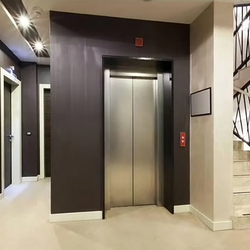 VTEP105 Ascensores Luxury Residential Passager Elevatorer Gearless AC Silent Effektiv og stilfuld PVC