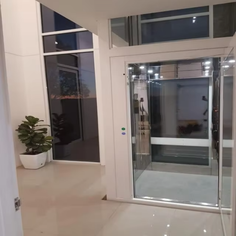 VTEV109 Ascensores Elevadores Stilfuld glas villa elevator til privat duplex hjem