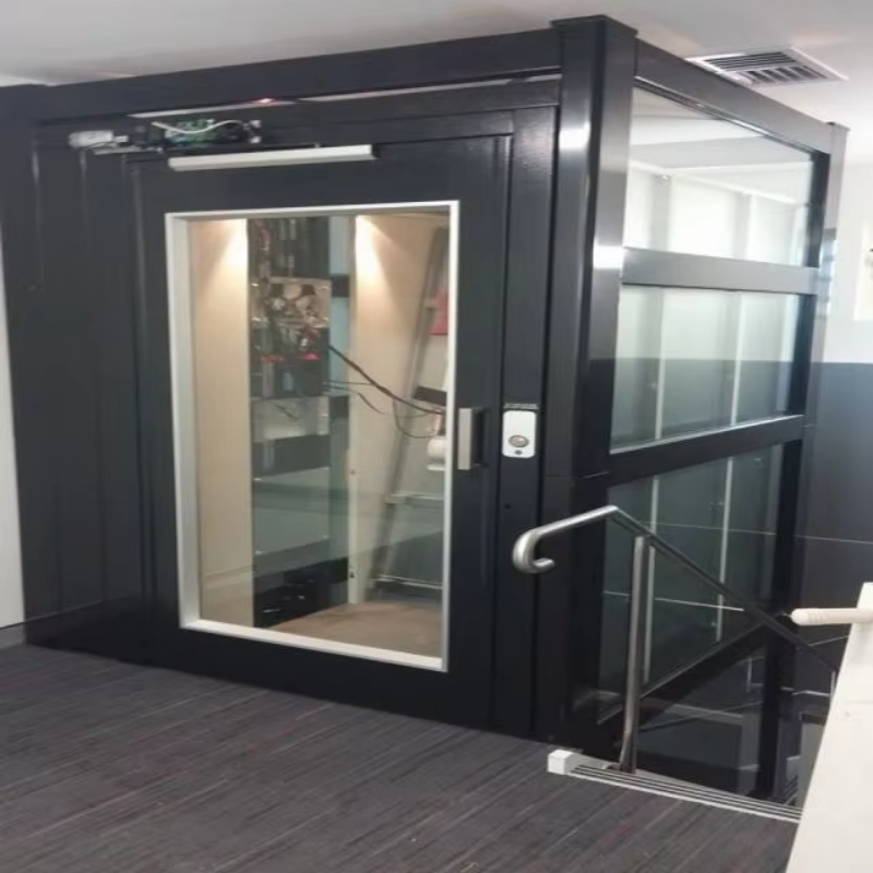 VTEV109 Ascensores Elevadores Stilfuld glas villa elevator til privat duplex hjem