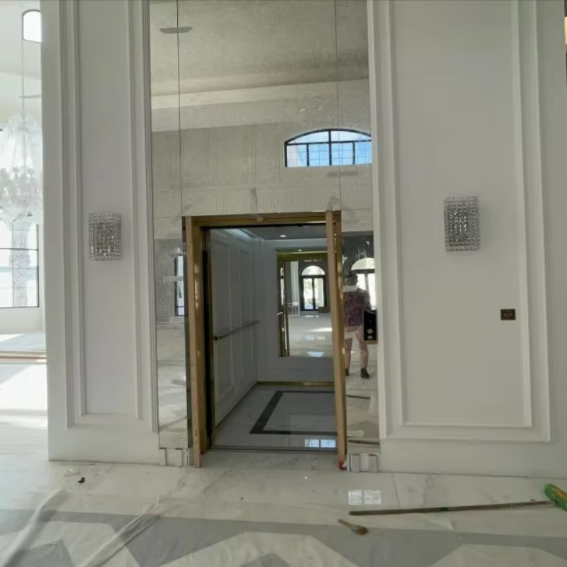 VTEV109 Ascensores Elevadores Stilfuld glas villa elevator til privat duplex hjem