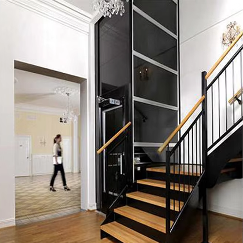 VTEV104 Ascensores Elevadores luksus villaelevator i rustfrit stål til familiebrug