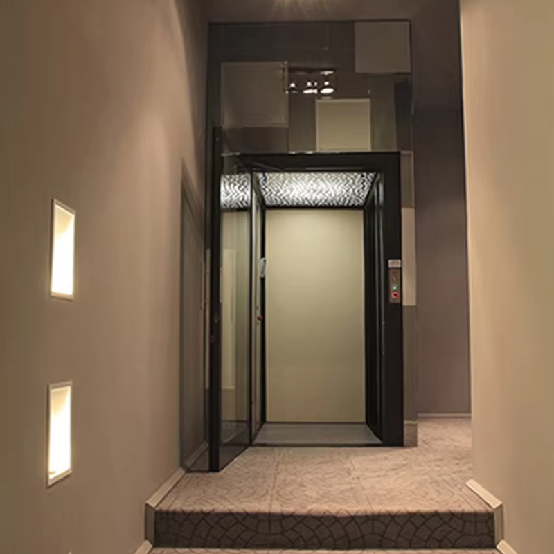 VTEV104 Ascensores Elevadores luksus villaelevator i rustfrit stål til familiebrug