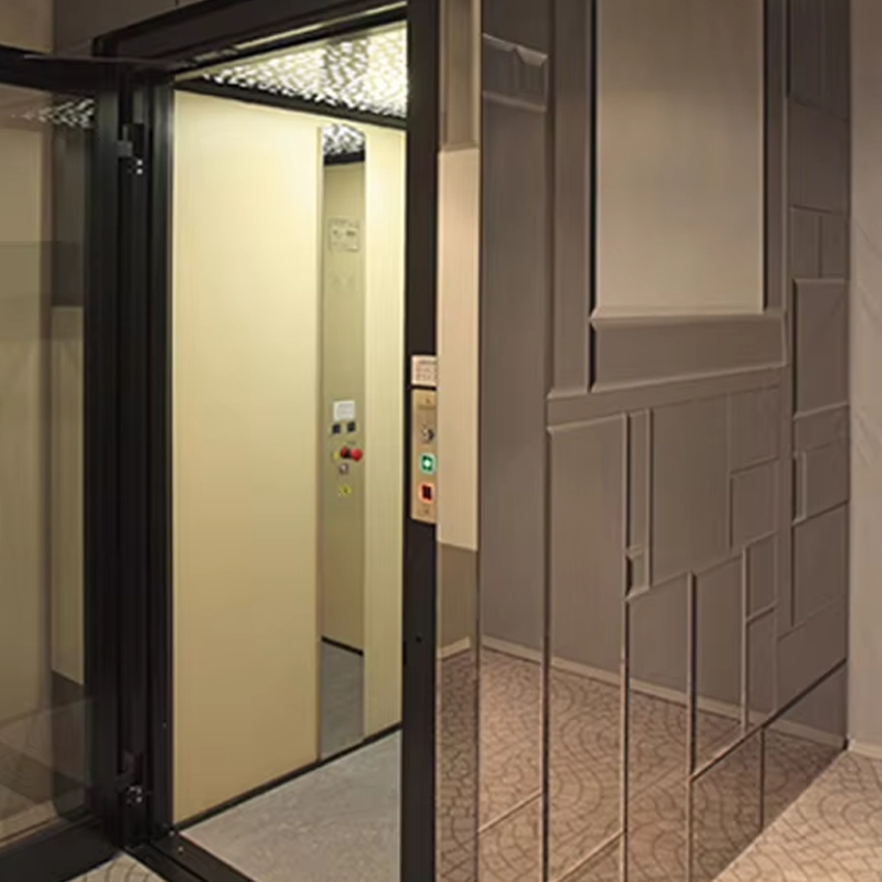 VTEV105 Ascensores Elevadores Customized Cabin Villa Elevator til indretning