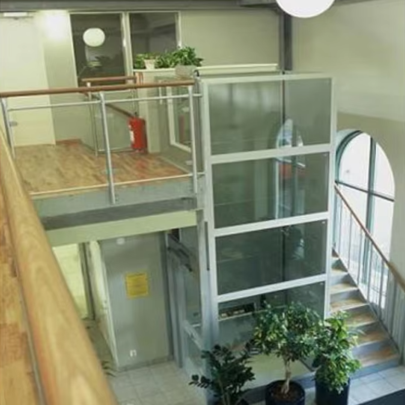 VTEV105 Ascensores Elevadores Customized Cabin Villa Elevator til indretning