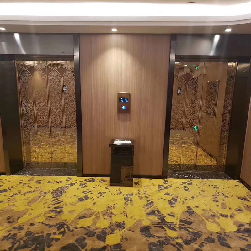 VTEP118 Elevadores avancerede passagerelevatorer Gearless AC PVC rustfrit stål konstruktion ISO90001 certificeret smarte funktioner Forbedre