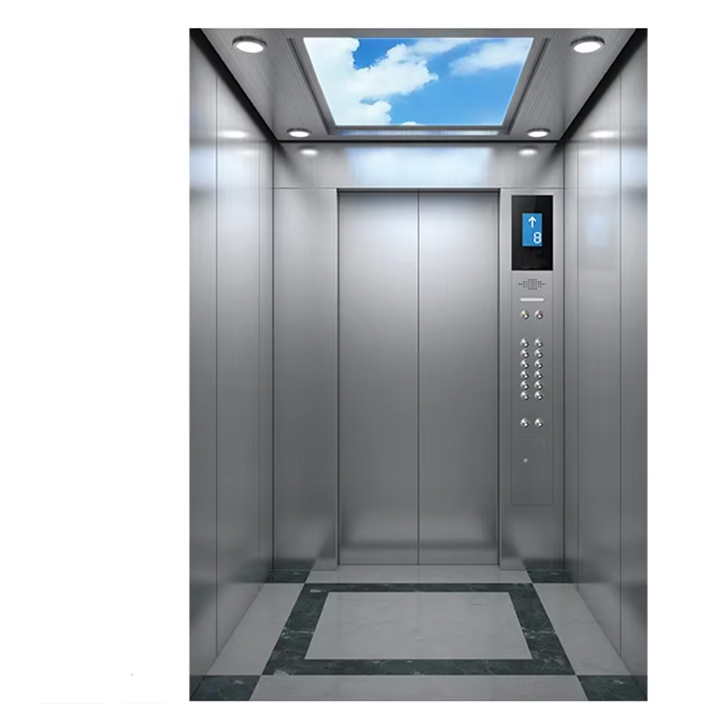 VTEP120 Residential Villa Passagerelevator Panoramic Glas Rustfrit Stål Konstruktion Sikkerhedsfunktioner Stor kapacitet