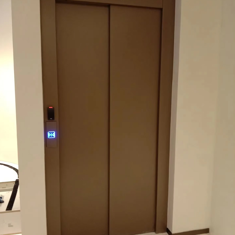VTEP120 Residential Villa Passagerelevator Panoramic Glas Rustfrit Stål Konstruktion Sikkerhedsfunktioner Stor kapacitet