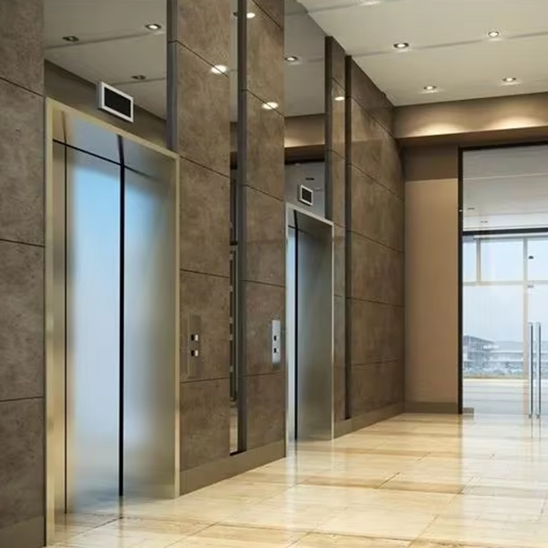 VTEP120 Residential Villa Passagerelevator Panoramic Glas Rustfrit Stål Konstruktion Sikkerhedsfunktioner Stor kapacitet