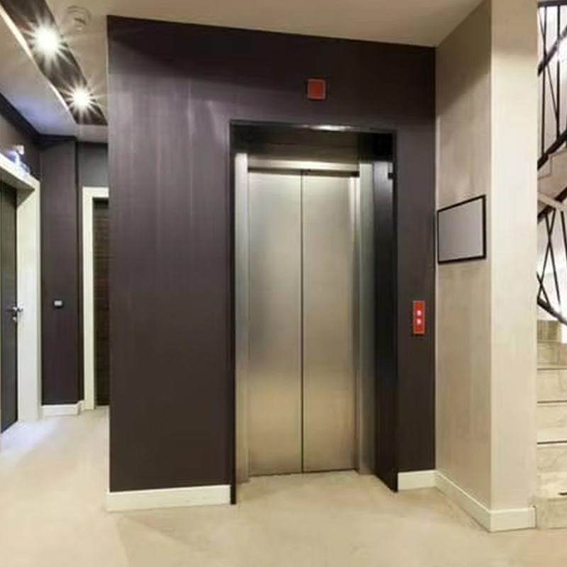 VTEP123 Luksus tilpasset Gearless AC Drive Residential passagerelevator med panoramadesign