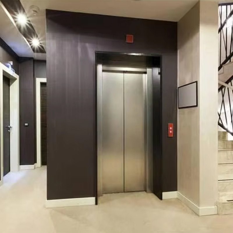 VTEP124 Kina Brand Moderne Passager Elevator Producent Højtydende Lift Hotel Brug PVC Gulv Rustfrit Stål AC Drive