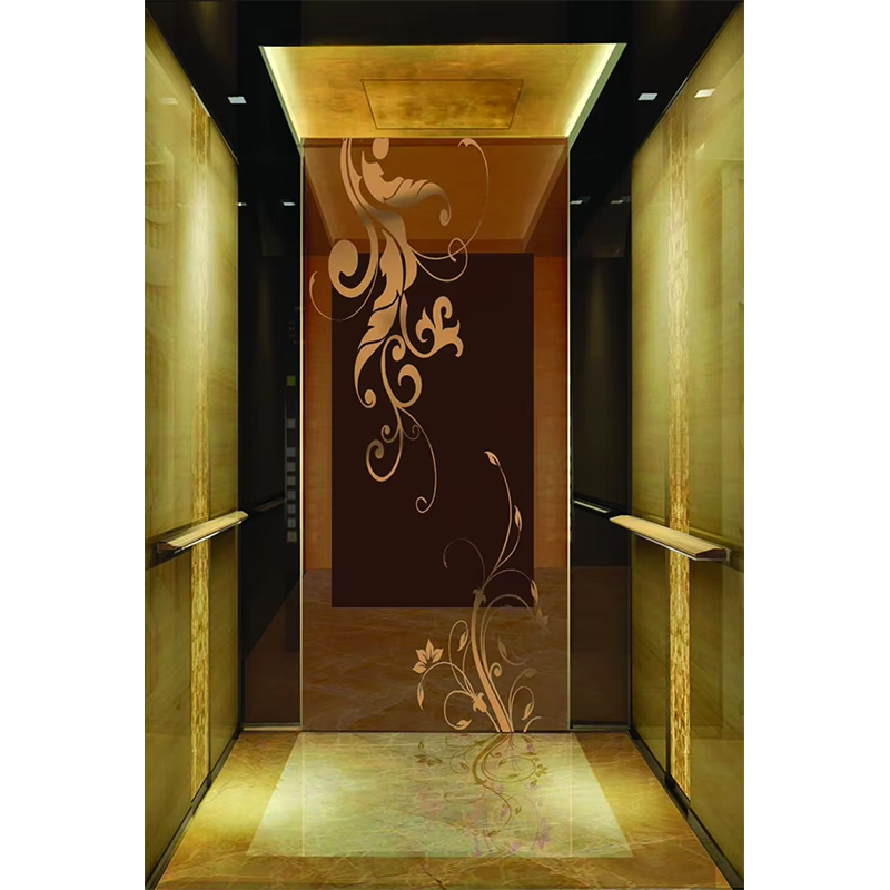 VTSP133 luksushotel elevatorkabine med premium rustfrit stål moderne design tilpasset farve 1 års garanti