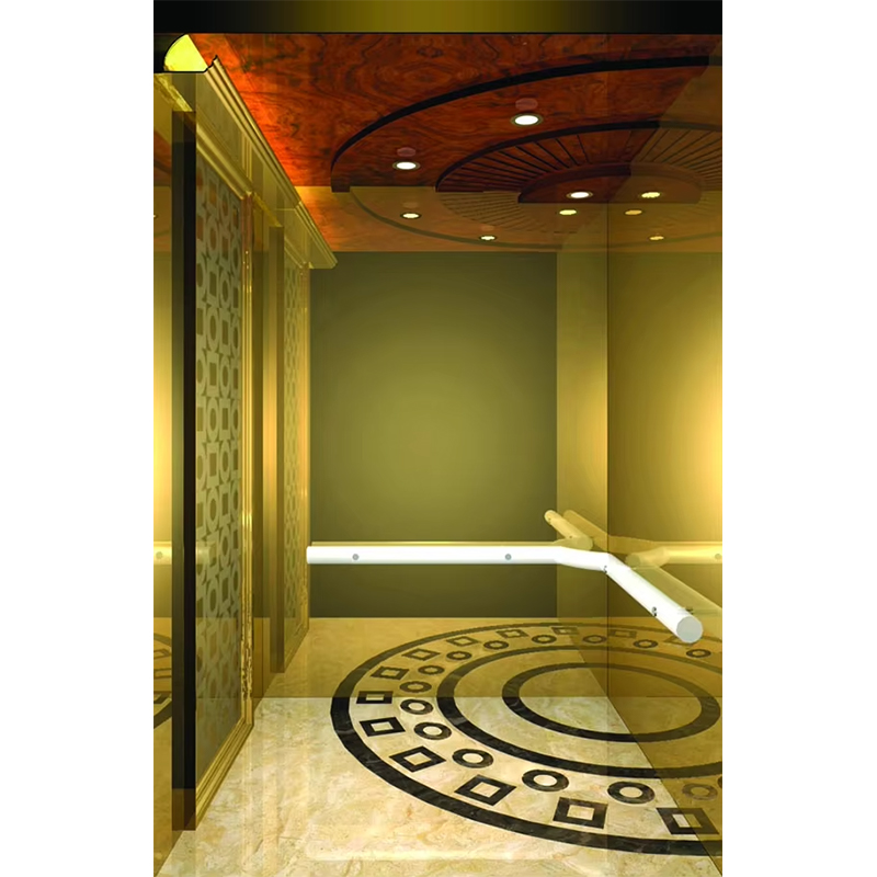 VTSP133 luksushotel elevatorkabine med premium rustfrit stål moderne design tilpasset farve 1 års garanti