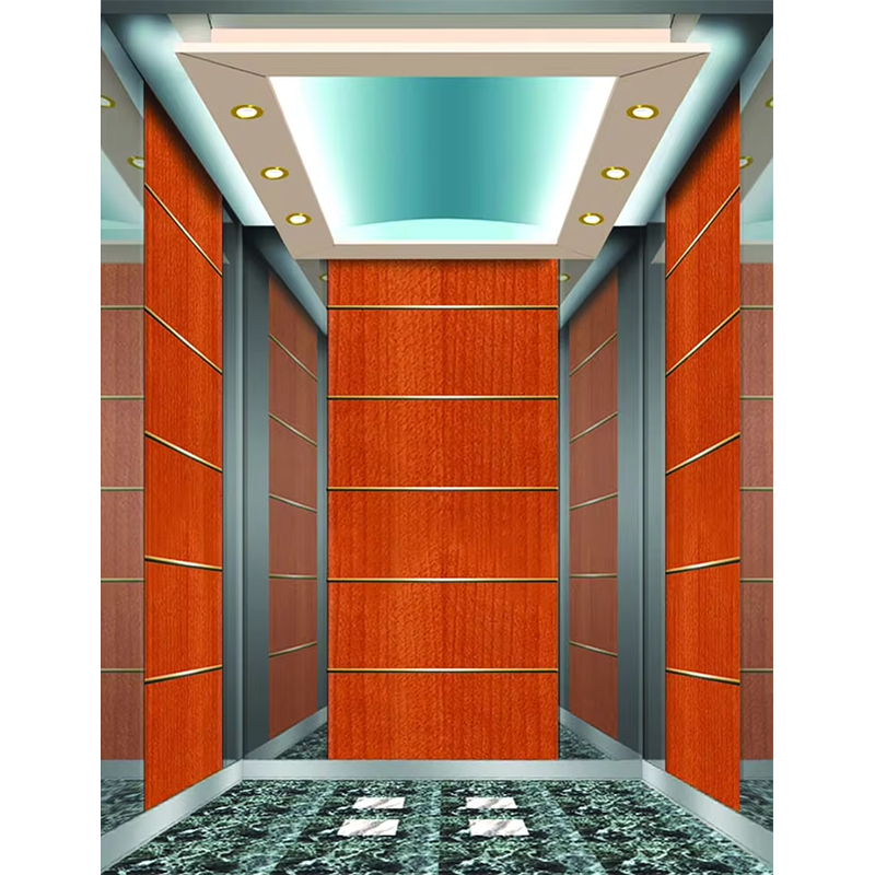 VTSP133 luksushotel elevatorkabine med premium rustfrit stål moderne design tilpasset farve 1 års garanti