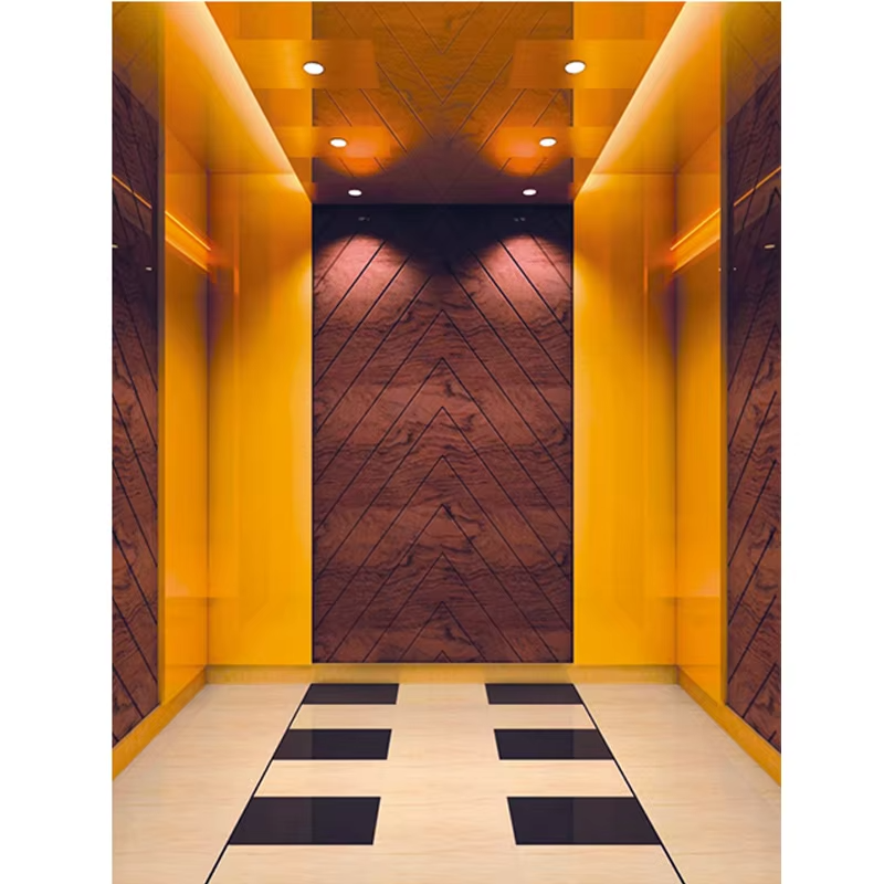 VTSP126 Elevator dele og tilbehør Passagerliftkabine med moderne interiør